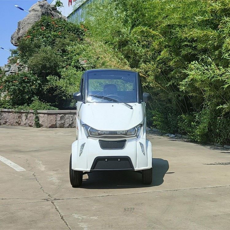 EEC COC Adult Mini Electric Car Without License