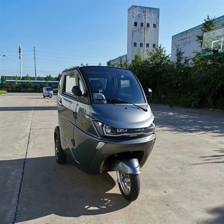 Small Hot Selling Steering Wheels Tricycle Electric And Cargobike For Disabled
