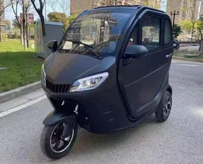 Auto Mini Electric Tricycle EEC Mini Car